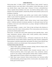 Darbo partija Lietuvos politinėje sistemoje 10 puslapis