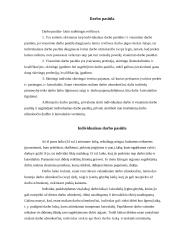 Darbo rinka ir jos funkcionavimo ypatybės 2 puslapis