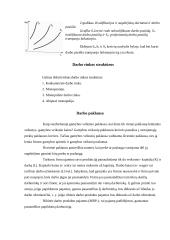 Darbo rinka ir jos funkcionavimo ypatybės 4 puslapis