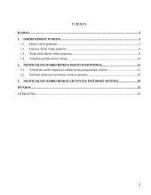 Lietuvos neoficiali darbo rinka 2 puslapis