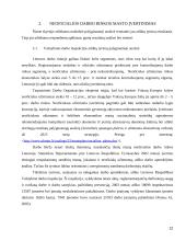 Lietuvos neoficiali darbo rinka 12 puslapis