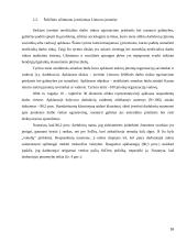 Lietuvos neoficiali darbo rinka 16 puslapis