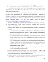 Lietuvos neoficiali darbo rinka 18 puslapis