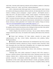 Lietuvos neoficiali darbo rinka 20 puslapis