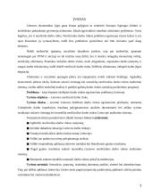 Lietuvos neoficiali darbo rinka 3 puslapis