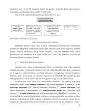 Lietuvos neoficiali darbo rinka 8 puslapis