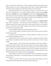 Lietuvos neoficiali darbo rinka 9 puslapis