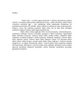 Darbo rinka ir jos ypatybės 13 puslapis