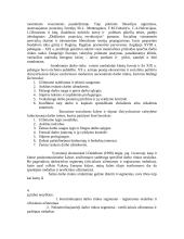 Darbo rinka ir jos ypatybės 5 puslapis