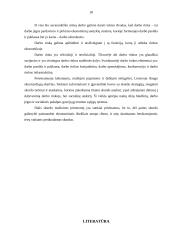 Darbo rinka ir skurdo problema Lietuvoje bei jo veiksniai 18 puslapis