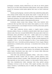 Darbo rinka ir skurdo problema Lietuvoje bei jo veiksniai 5 puslapis