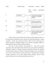 Darbo rinkos atsiradimo prielaidos XVIII – XX amžiuje 13 puslapis