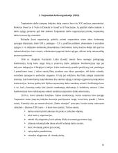 Darbo rinkos atsiradimo prielaidos XVIII – XX amžiuje 16 puslapis