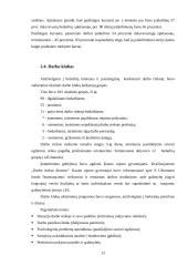 Darbo rinkos ir užimtumo analizė: Kauno miestas ir rajonas 2003 metais 12 puslapis