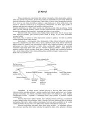 Darbo rinkos padėtis Lietuvoje 3 puslapis