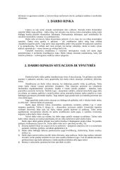 Darbo rinkos padėtis Lietuvoje 4 puslapis