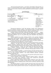 Darbo rinkos padėtis Lietuvoje 6 puslapis