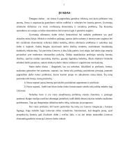 Darbo rinkos problematika Lietuvoje 2 puslapis