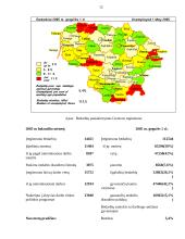 Darbo rinkos problematika Lietuvoje 13 puslapis
