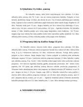 Darbo rinkos problematika Lietuvoje 16 puslapis