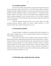 Darbo rinkos problematika Lietuvoje 17 puslapis