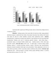 Darbo rinkos problematika Lietuvoje 4 puslapis