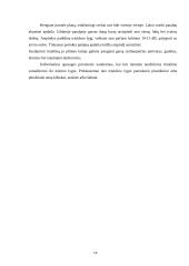 Darbo sauga įmonėse 13 puslapis