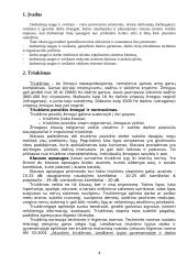 Darbo sauga socialinio pedagogo darbo vietoje 2 puslapis