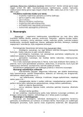 Darbo sauga socialinio pedagogo darbo vietoje 3 puslapis