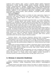 Darbo sauga socialinio pedagogo darbo vietoje 4 puslapis