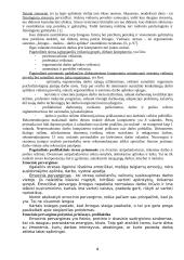 Darbo sauga socialinio pedagogo darbo vietoje 5 puslapis