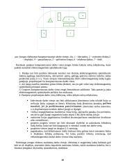 Darbo sauga socialinio pedagogo darbo vietoje 9 puslapis