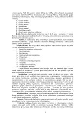 Darbo skatinimas 6 puslapis
