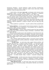 Darbo skatinimas 7 puslapis
