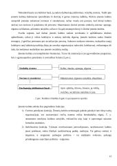 Darbo su personalu aplinka 14 puslapis