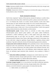 Darbo užmokesčio diferenciacijos veiksniai 4 puslapis