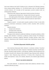 Darbo užmokesčio esmė ir formos 16 puslapis