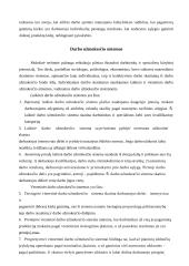 Darbo užmokesčio esmė ir formos 3 puslapis