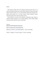 Darbo apmokėjimo sistema, užmokesčio formos bei veiksniai 12 puslapis