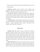 Darbo apmokėjimo sistema, užmokesčio formos bei veiksniai 10 puslapis