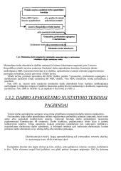 Darbo užmokestis ir darbo užmokesčio diferenciacija 13 puslapis