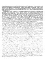 Darbo užmokestis ir darbo užmokesčio diferenciacija 14 puslapis