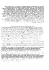 Darbo užmokestis ir darbo užmokesčio diferenciacija 16 puslapis