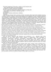 Darbo užmokestis ir darbo užmokesčio diferenciacija 17 puslapis