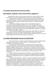 Darbo užmokestis ir darbo užmokesčio diferenciacija 3 puslapis