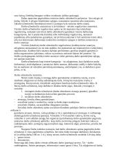 Darbo užmokestis ir darbo užmokesčio diferenciacija 4 puslapis