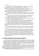 Darbo užmokestis ir darbo užmokesčio diferenciacija 5 puslapis