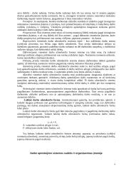 Darbo užmokestis ir jo formos 4 puslapis