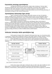 Darbo užmokestis Lietuvoje 5 puslapis