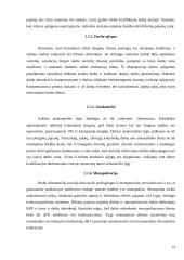 Darbo užmokestis, jo diferenciacija ir dinamika Lietuvoje 14 puslapis